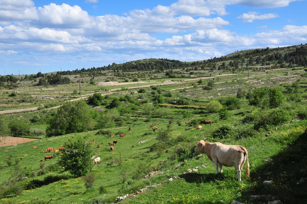 Casa Rural El Boixar - El Mirador Bojar 외부 사진